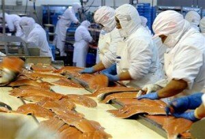 haccp 1 imchef 300x204 HACCP, una manera sencilla de entender este sistema